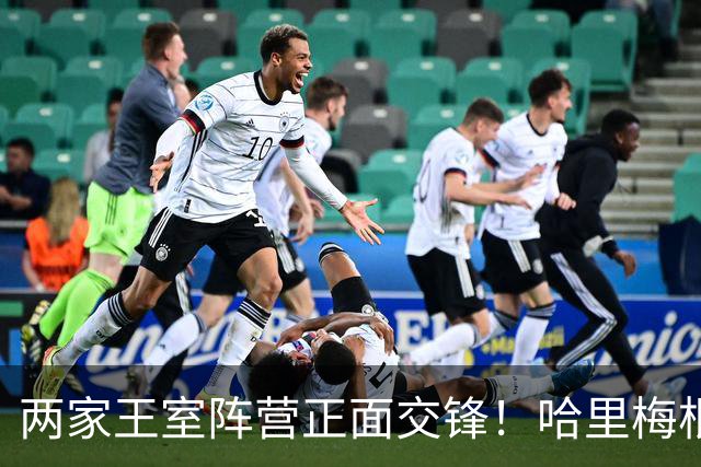 两家王室阵营正面交锋！哈里梅根诺丁汉见民众，查尔斯卡米拉出席议会
