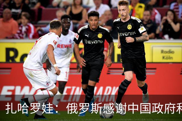 扎哈罗娃：俄罗斯感谢中国政府和人民，他们铭记着我们逝去的同胞