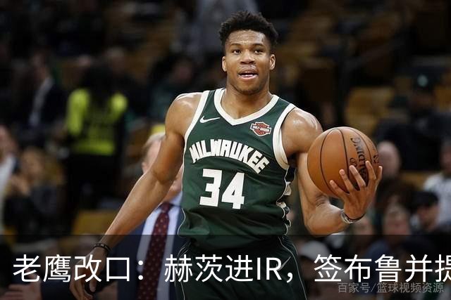 老鹰改口：赫茨进IR，签布鲁并提拔两人