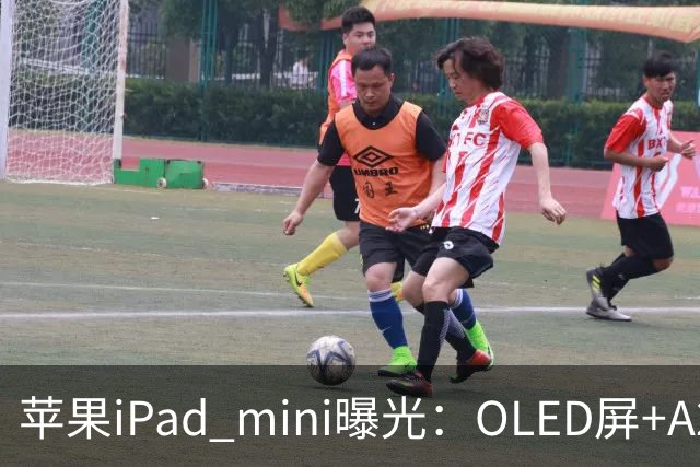 苹果iPad mini曝光：OLED屏+A20芯，售价或涨至799美元