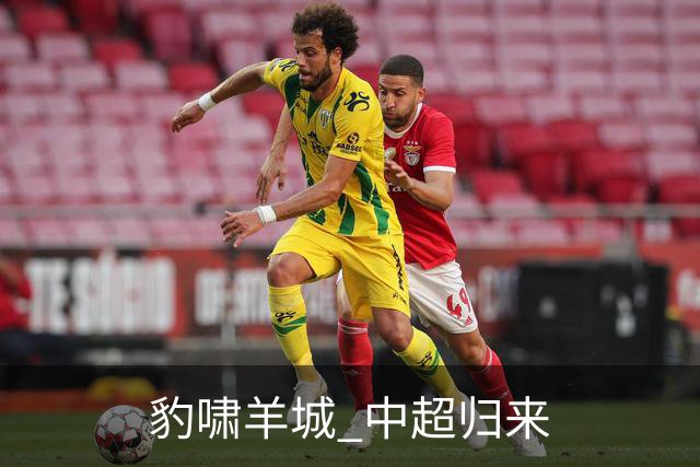 豹啸羊城 中超归来