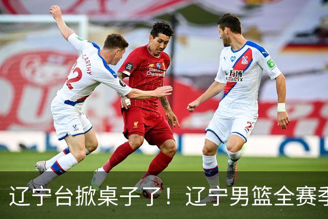 辽宁台掀桌子了！辽宁男篮全赛季比赛免费一场不落