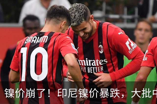 镍价崩了！印尼镍价暴跌，大批中企在印尼镍厂亏惨，集体减产！